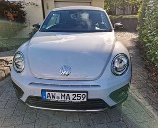 VW Volkswagen Beetle 1.4 TSI BMT R-Line Cabriolet R-L Gebrauchtwagen