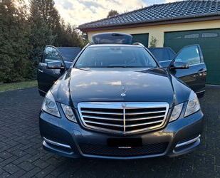 Mercedes-Benz Mercedes-Benz E 350 CDI 4MATIC T BlueEFF. ELEGANCE Gebrauchtwagen