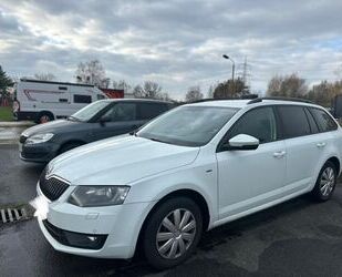 Skoda Skoda Octavia Combi Joy 1.6D Gebrauchtwagen