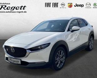 Mazda Mazda CX-30 Selection 2WD 2.0 SKYACTIV-X M Hybrid Gebrauchtwagen