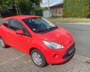 Ford Ford Ka/Ka+ 1,2 Rentnerfahrzeug Scheckheft TÜV NEU Gebrauchtwagen