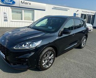 Ford Ford Kuga ST-Line X Gebrauchtwagen