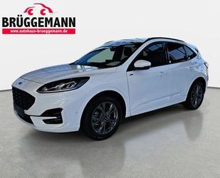 Ford Ford KUGA 1.5 ECOBOOST ST-LINE NAVI LED ACC WINTER Gebrauchtwagen