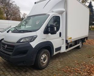 Fiat Fiat Ducato Koffer Bordwand Top Zustand netto 1699 Gebrauchtwagen