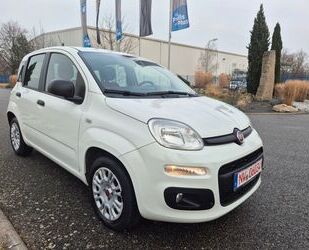 Fiat Panda Gebrauchtwagen