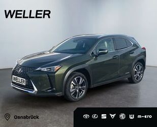 Lexus Lexus UX 250h Style Edition *LED*ACC*CarPlay*Kamer Gebrauchtwagen