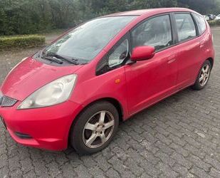 Honda Honda Jazz 1.2 Trend Gebrauchtwagen