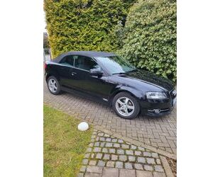 Audi Audi A3 1.6 TDI Ambition Cabriolet Ambition Gebrauchtwagen