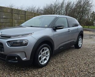 Citroen Citroën C4 Cactus Shine Gebrauchtwagen