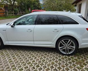 Audi Audi A4 Allroad 45 TFSI S tronic quattro Avant - Gebrauchtwagen