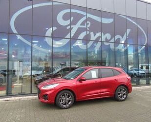 Ford Ford Kuga 1.5 EcoBoost ST-LINE X Gebrauchtwagen