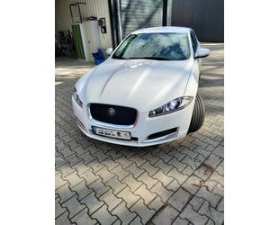 Jaguar Jaguar XF 2.2 L Diesel - Gebrauchtwagen