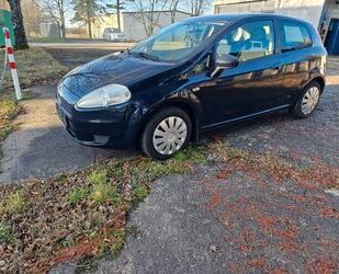 Fiat Fiat Punto 1.2 8V Active Gebrauchtwagen