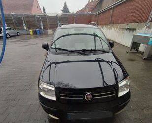 Fiat Fiat Panda Gebrauchtwagen