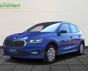 Skoda Skoda Fabia 1.0 TSI Selection MATRIX/SHZ/GRA/LENKR Gebrauchtwagen