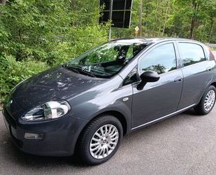 Fiat Fiat Punto 1.2 8V - 5-türig, Klima, Radio, PDC, SH Gebrauchtwagen