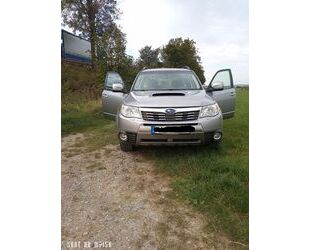 Subaru Subaru Forester 2.0D Boxer Gebrauchtwagen