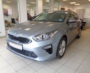 Kia Kia ceed / Ceed 1.5 T-GDI / KAMERA / NAVI / Gebrauchtwagen