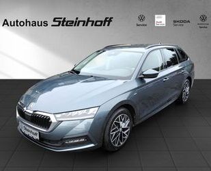 Skoda Skoda Octavia COMBI TSI Voll-LED+Kamera+App-Conn,A Gebrauchtwagen