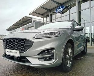 Ford Ford Kuga Hybrid ST-Line X Gebrauchtwagen