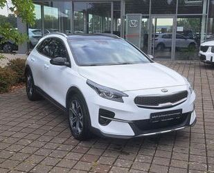 Kia Kia XCeed Platinum Edition Gebrauchtwagen