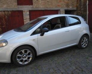 Fiat Fiat Punto 1.2 8V POP POP Gebrauchtwagen