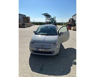 Fiat Fiat 500 1.2 8V Collezione Gebrauchtwagen