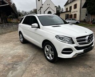 Mercedes-Benz Mercedes-Benz GLE 250 d 4MATIC - 8-fach Alufelgen Gebrauchtwagen