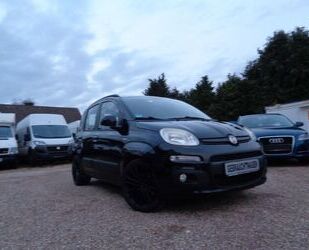 Fiat Fiat Panda Lounge Gebrauchtwagen