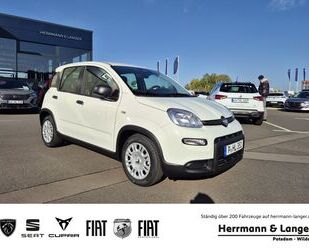 Fiat Fiat Panda 1.0 Pandina Klima PDC Radio Gebrauchtwagen