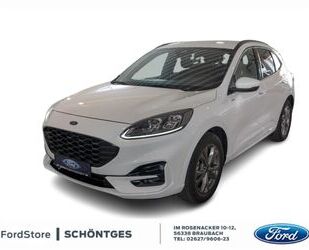 Ford Ford Kuga 1.5i ST-Line X Navi LED B&O Kamera ParkP Gebrauchtwagen