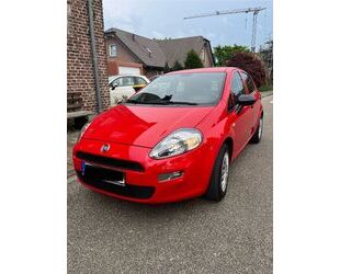 Fiat Fiat Punto Gebrauchtwagen