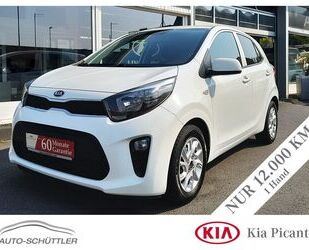 Kia Kia Picanto Dream Team,PDC,Klima,Sitzhzg,Wie Neu ! Gebrauchtwagen