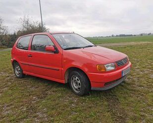 VW Volkswagen VW Polo rot N6 - HU 6/2026 Gebrauchtwagen