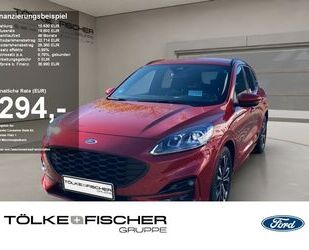 Ford Ford Kuga 2.0 EcoBlue FWD ST-Line X *VERFÜGBAR* Gebrauchtwagen