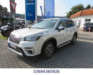 Subaru Subaru Forester 2.0ie Comfort Lineartronic+AHK+Sta Gebrauchtwagen