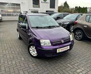 Fiat Fiat Panda 1.2 8V Dynamic*KLIMA*4S-REIFEN Gebrauchtwagen