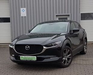 Mazda Mazda CX-30 2.0 Edition 100/ LEDER / NAVI / KAMERA Gebrauchtwagen