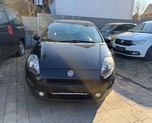 Fiat Punto Gebrauchtwagen