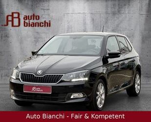 Skoda Skoda Fabia Joy *CarPlay *Navi *DAB *PDC*1Hand Gebrauchtwagen