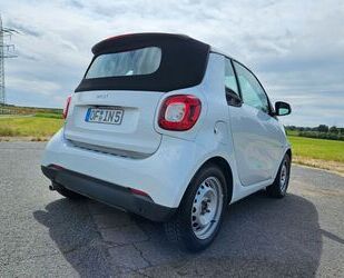 Smart Smart ForTwo 90PS WEBASTO Standheizung Alufelgen 1 Gebrauchtwagen