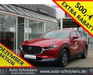 Mazda Mazda CX-30 SKYACTIV-G SELECTION+360CAM+AHK !!! Gebrauchtwagen