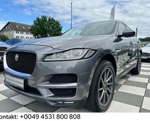 Jaguar F-Pace Gebrauchtwagen