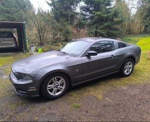 Ford Ford Mustang Coupe V6 3,7 *Tüv auf Wunsch Neu!* Gebrauchtwagen