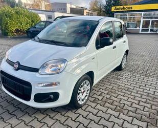 Fiat Fiat Panda 1.2 Easy // KLIMA // Gebrauchtwagen