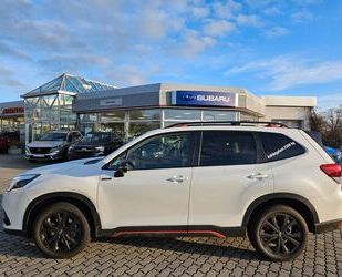 Subaru Subaru Forester 2,0 Edition Exclusive Cross Gebrauchtwagen