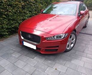 Jaguar Jaguar XE 20d 180PS AWD*Kam*Nav*Pano*AHK*Totw.Ass* Gebrauchtwagen