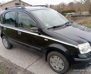 Fiat Fiat Panda Gebrauchtwagen