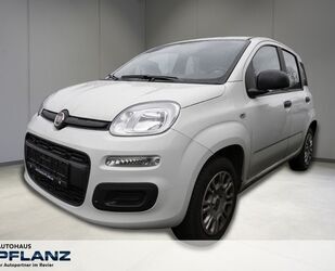 Fiat Fiat Panda Easy 1.2 70 5T Gebrauchtwagen