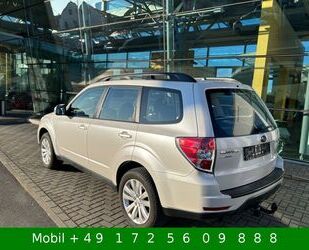 Subaru Subaru Forester Comfort Autom 4x4 AHK Xenon Kamera Gebrauchtwagen